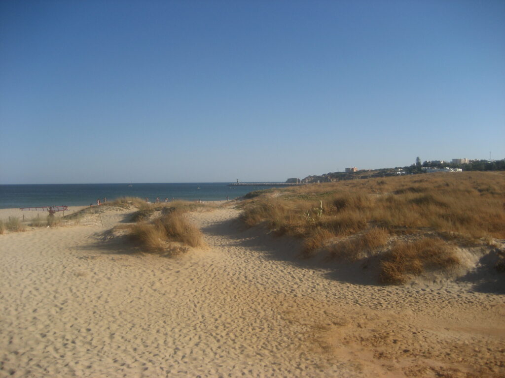 Lagos Beach Meia Praia 