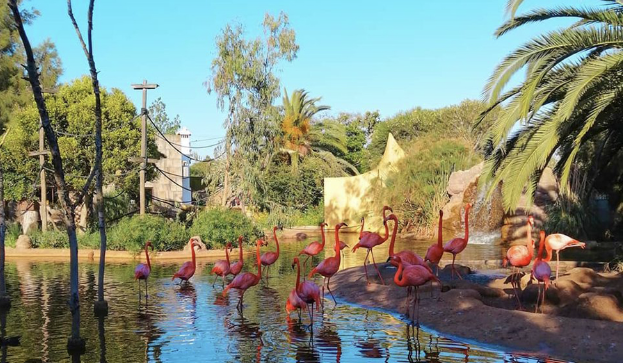 Lagos Zoo